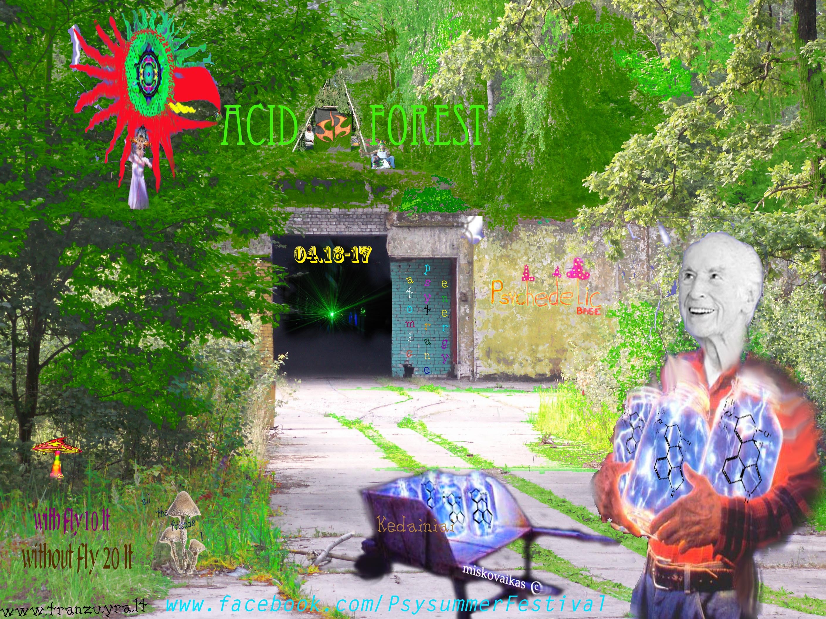 ACID FOREST copy.jpg