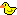 duckie :duckie: